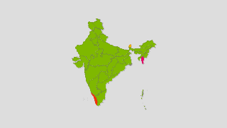 Pandemia de coronavirus en India Thumbnail